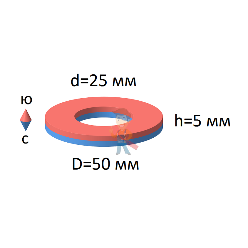 Неодимовый магнит кольцо 50х25х5 мм - фото 1